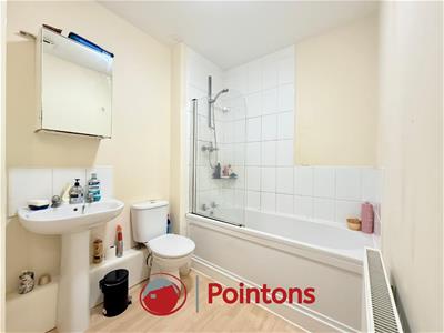 Picture 7